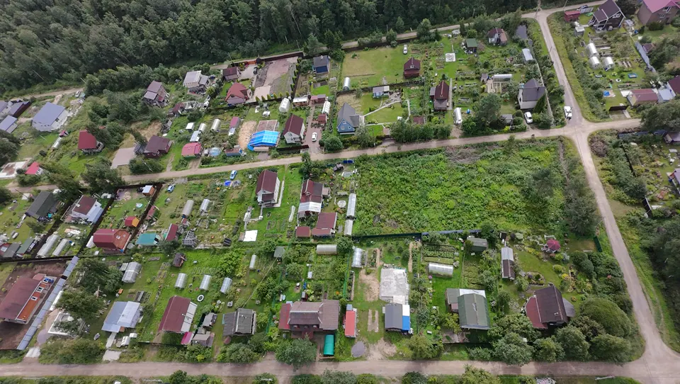 Панорама СНТ «Липки» с воздуха: улицы садоводства, дома и сосновый лес за ними