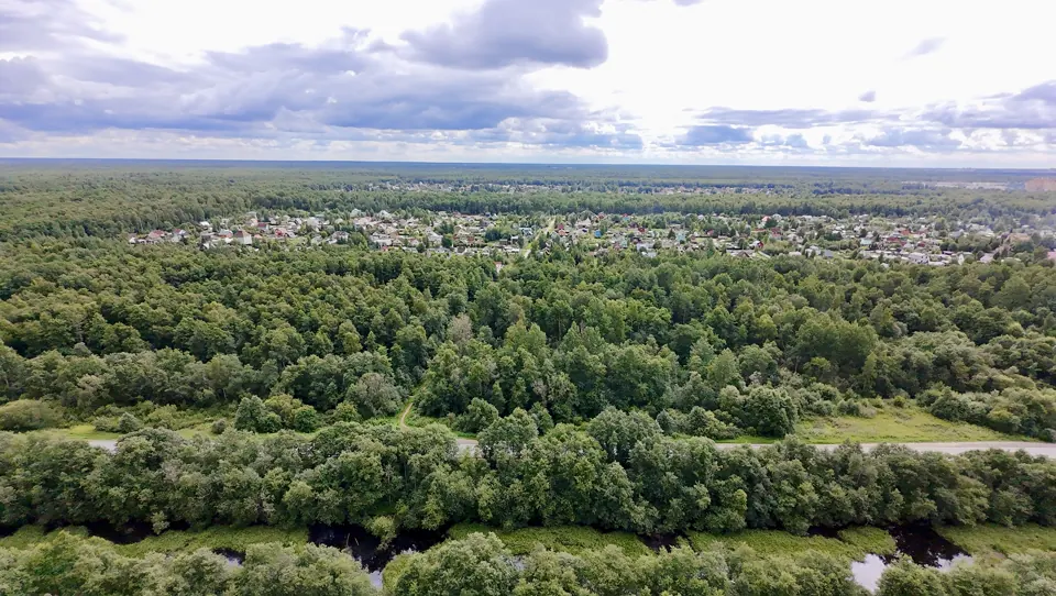 Лес и посёлок с воздуха, вид в сторону Ладоги, июль 2026